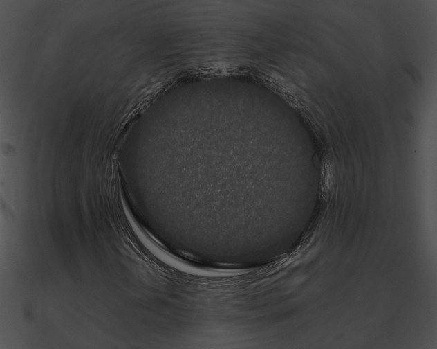 X0000090861202200708030940