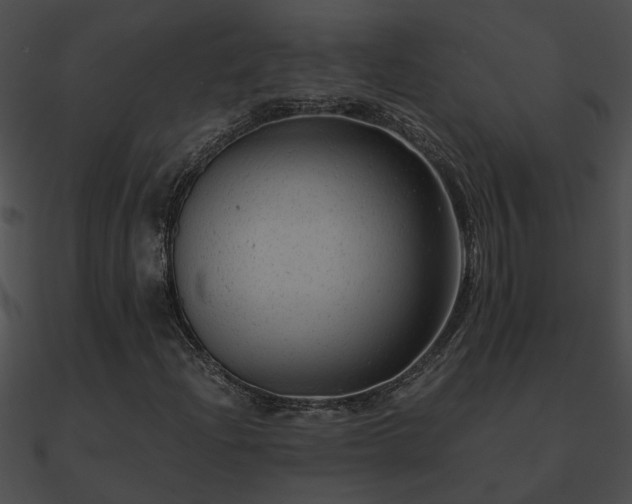 X0000090861204200708030940