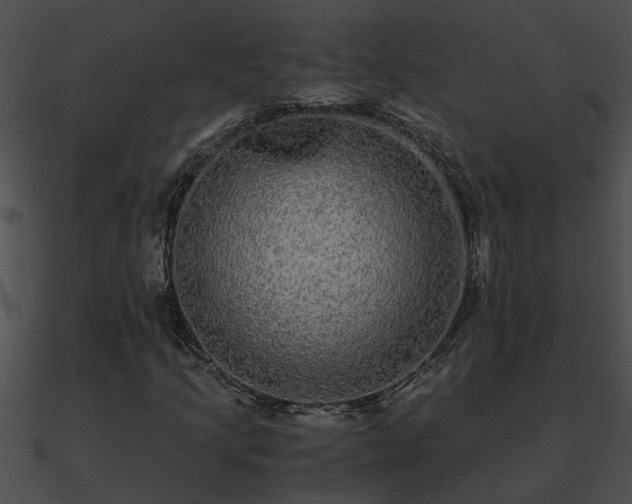 X0000090861205200708030940