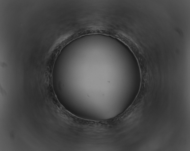 X0000090861207200708030940