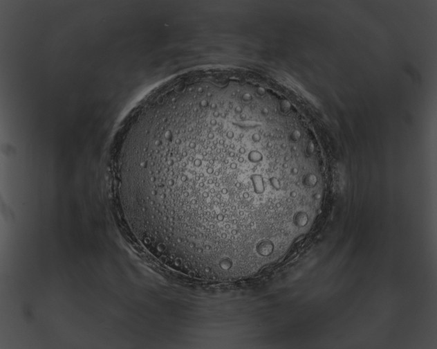 X0000090861208200708030940