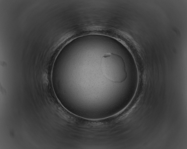 X0000090861209200708030940