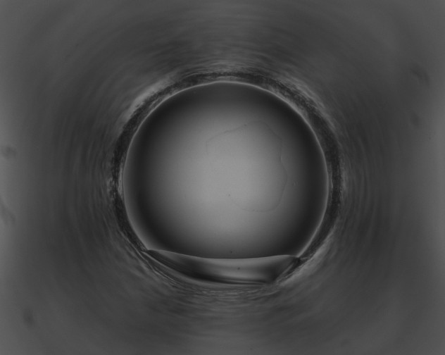 X0000090861210200708030940