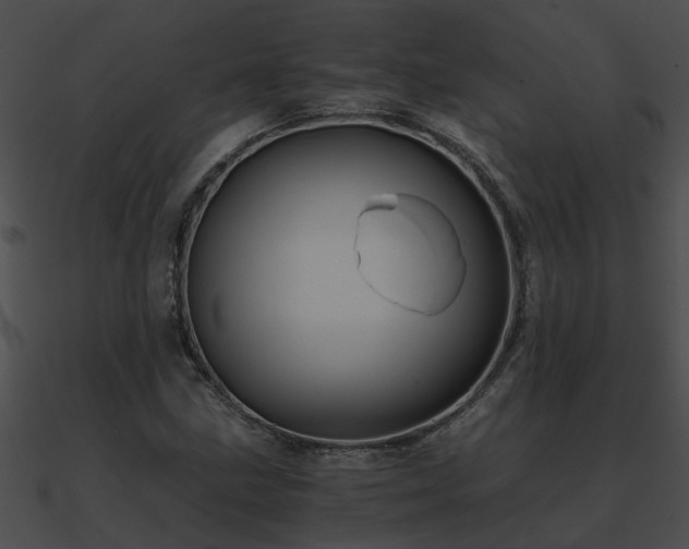 X0000090861211200708030940