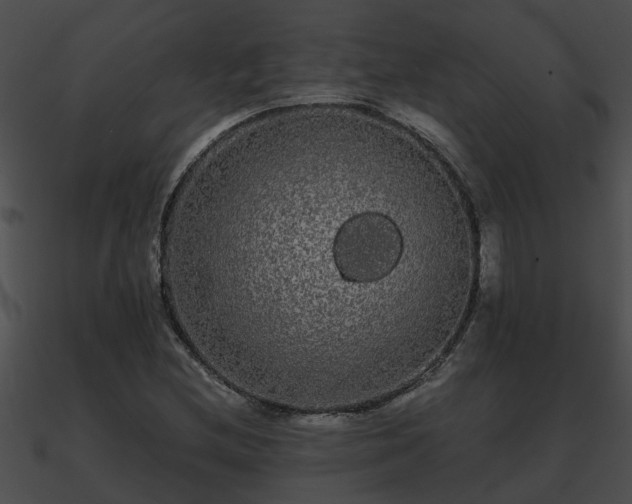 X0000090861212200708030940