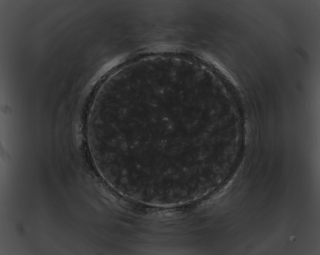 X0000090861213200708030940