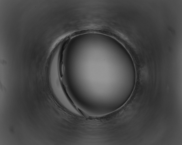 X0000090861214200708030940