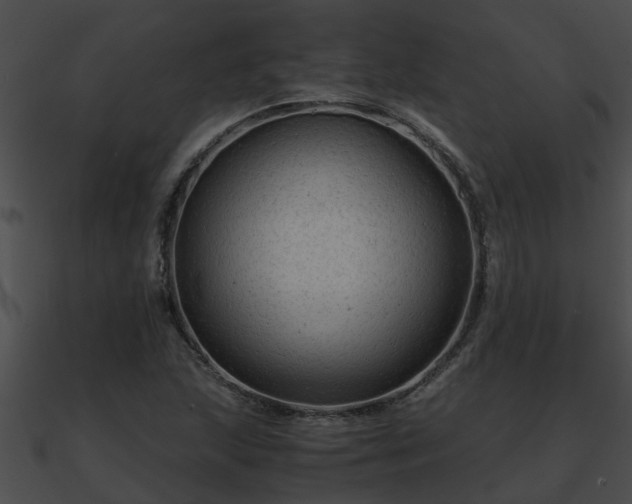 X0000090861215200708030940