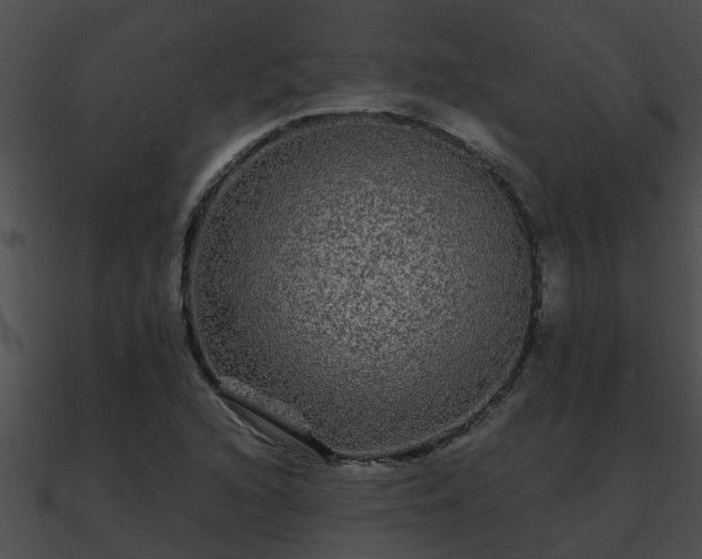 X0000090861216200708030940
