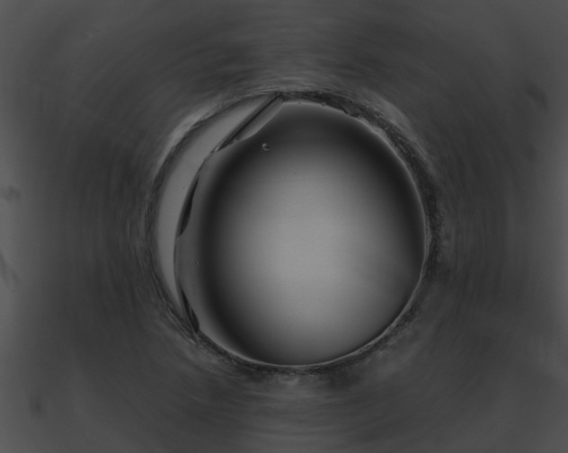X0000090861218200708030940