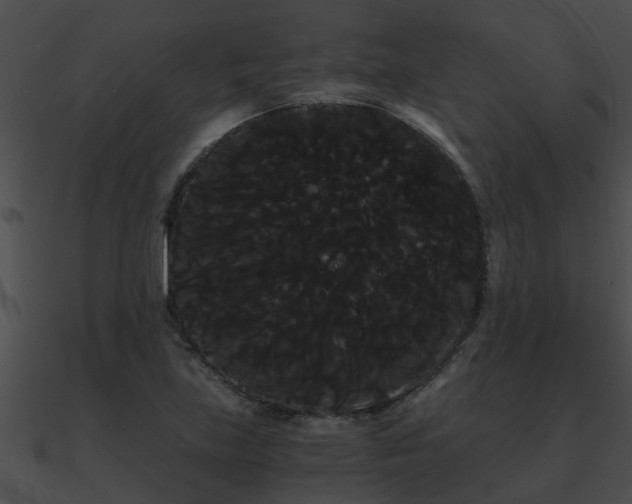 X0000090861219200708030940