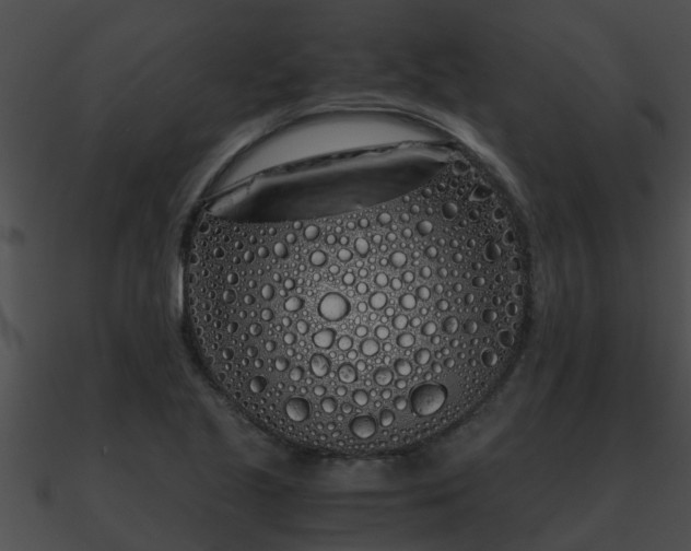 X0000090861221200708030940