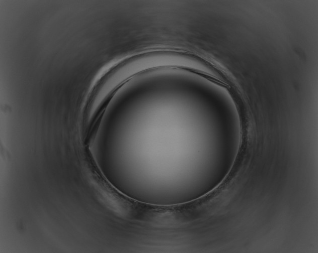 X0000090861222200708030940