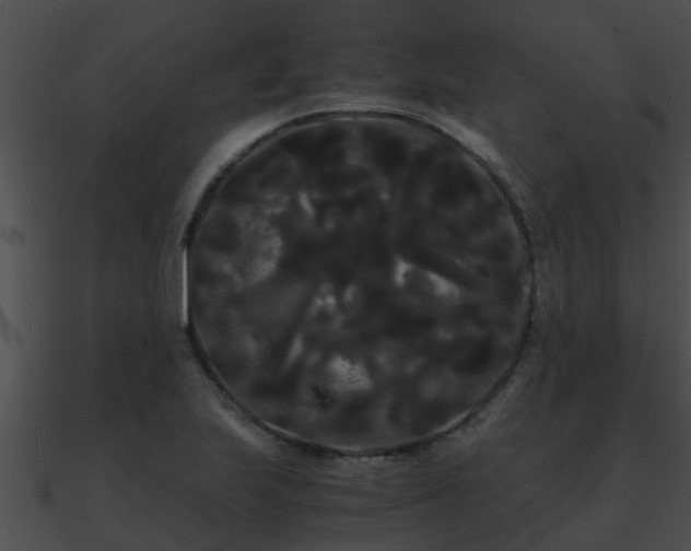 X0000090861223200708030940