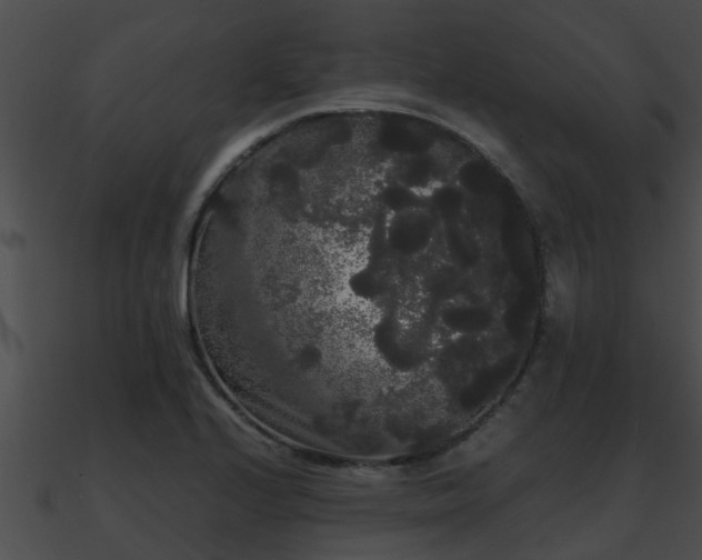X0000090861224200708030940