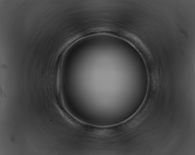 X0000090861225200708030940