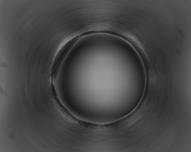 X0000090861226200708030940