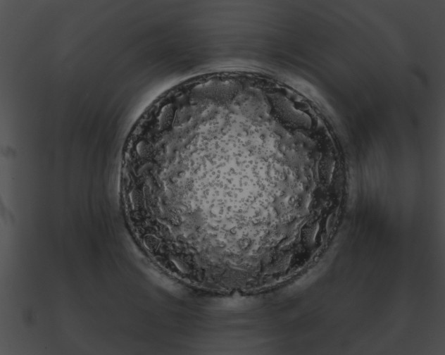 X0000090861228200708030941