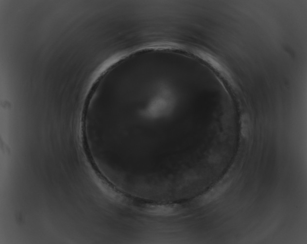 X0000090861229200708030941