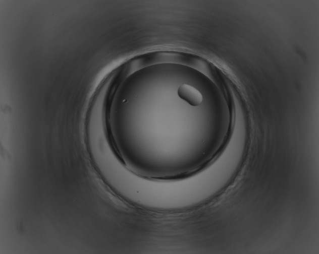 X0000090861230200708030941