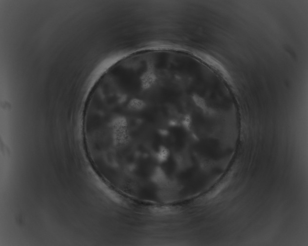X0000090861231200708030941