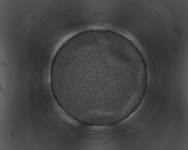 X0000090861232200708030941