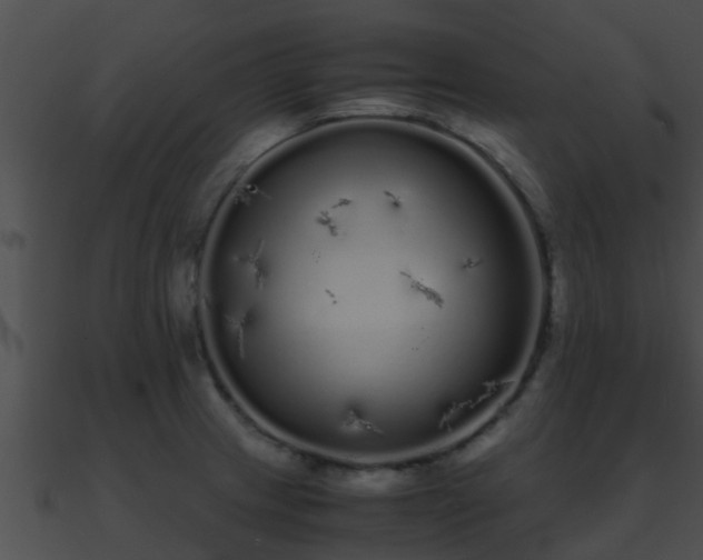 X0000090861233200708030941