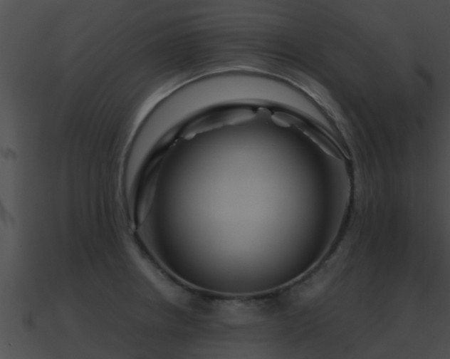X0000090861234200708030941