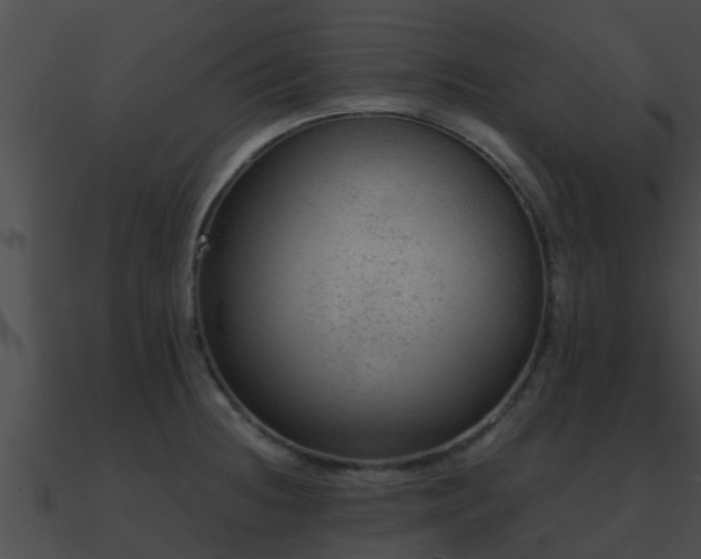 X0000090861236200708030941