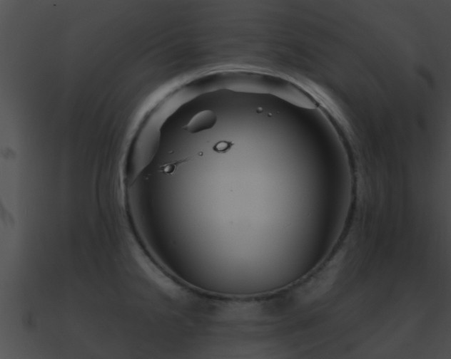 X0000090861238200708030941