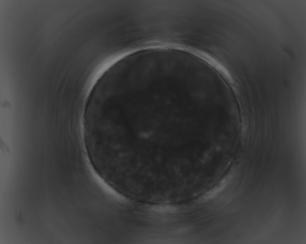 X0000090861239200708030941