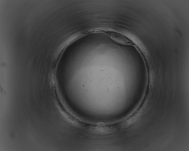 X0000090861241200708030941