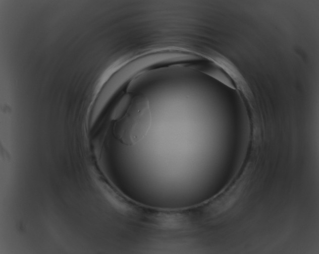 X0000090861242200708030941