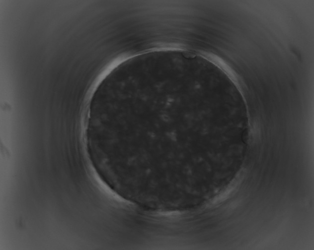 X0000090861243200708030941