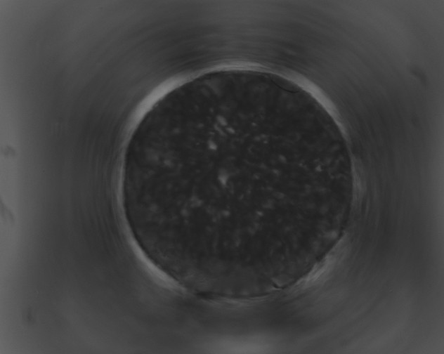 X0000090861245200708030941