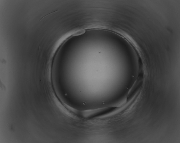 X0000090861246200708030941