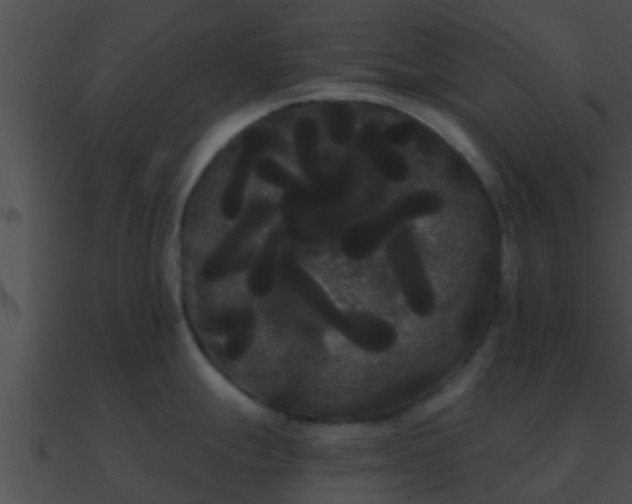 X0000090861247200708030941