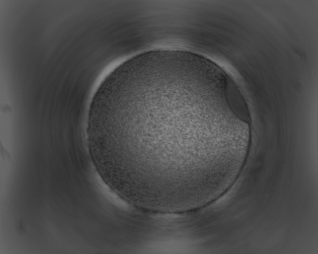 X0000090861248200708030941