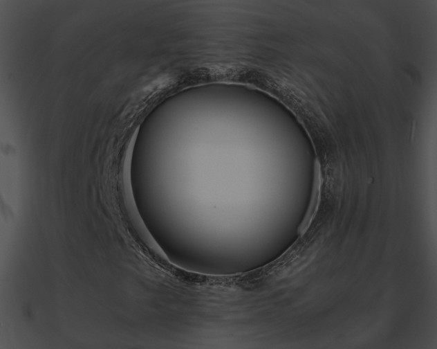 X0000090861249200708030940