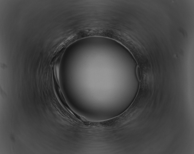 X0000090861250200708030940
