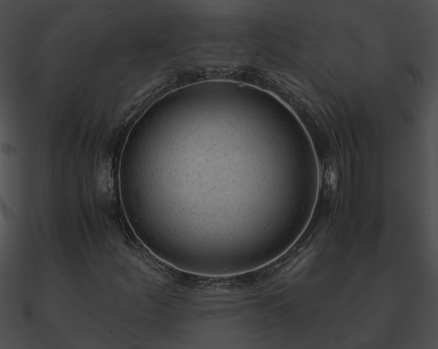 X0000090861252200708030940
