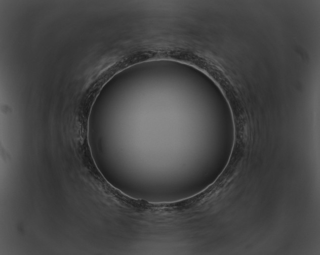 X0000090861253200708030940