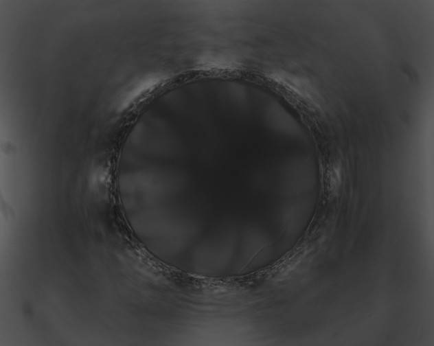 X0000090861254200708030940