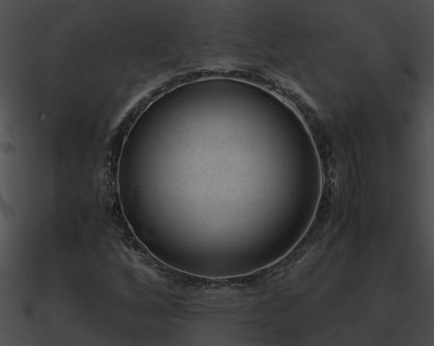 X0000090861256200708030940