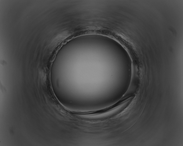 X0000090861257200708030940