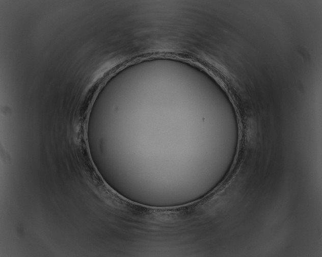 X0000090861258200708030940