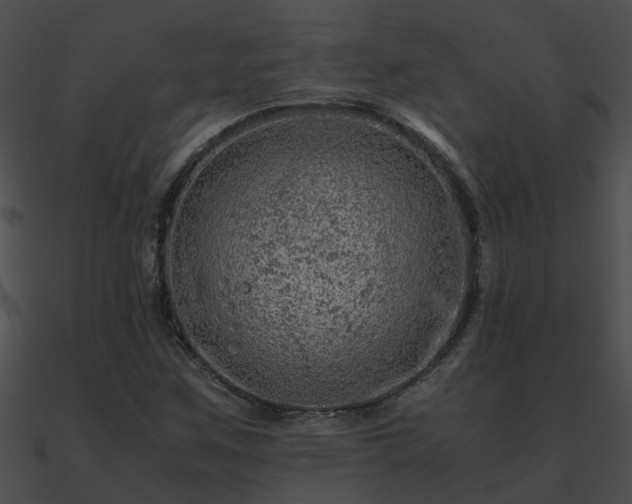 X0000090861259200708030940