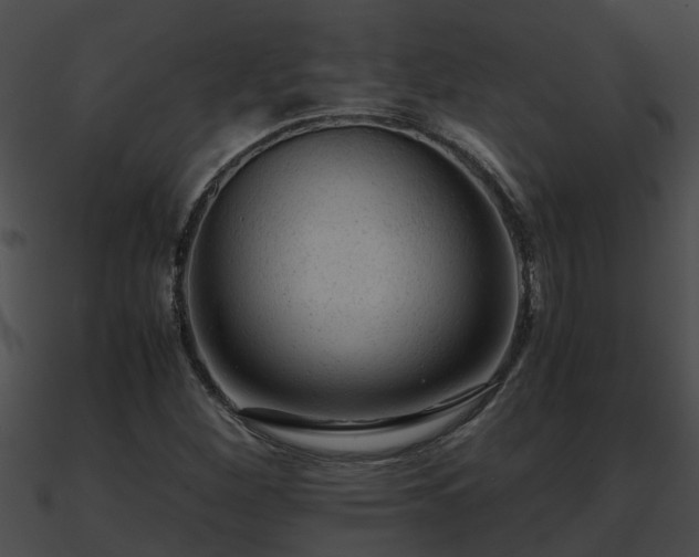 X0000090861260200708030940