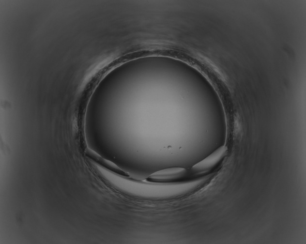 X0000090861261200708030940