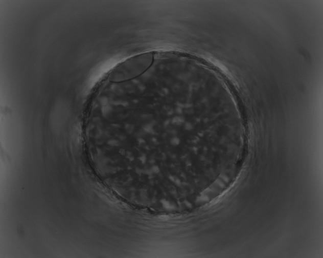 X0000090861263200708030940